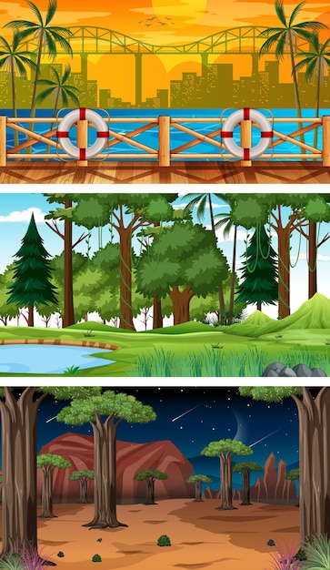 Vector conjunto de diferentes escenas horizontales de bosque en diferentes momentos.