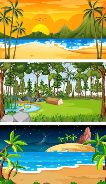 Vector conjunto de diferentes escenas horizontales de bosque en diferentes momentos.