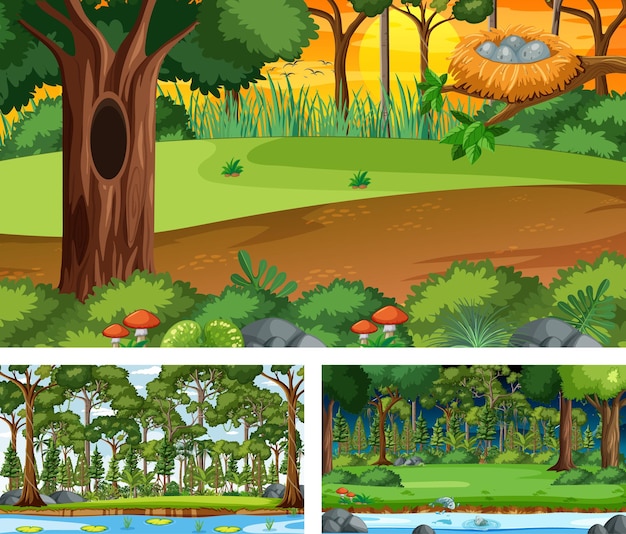 Vector conjunto de diferentes escenas horizontales de bosque.