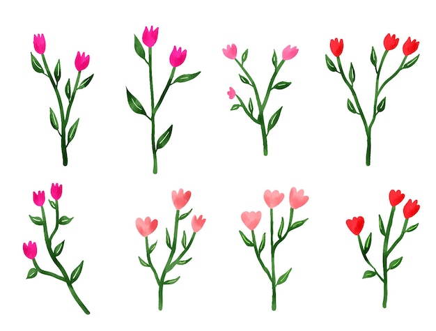 un conjunto de diferentes flores rosadas con diferentes hojas