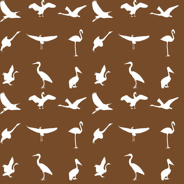 Conjunto de diferentes fotografías de aves de patrones sin fisuras. Vector i