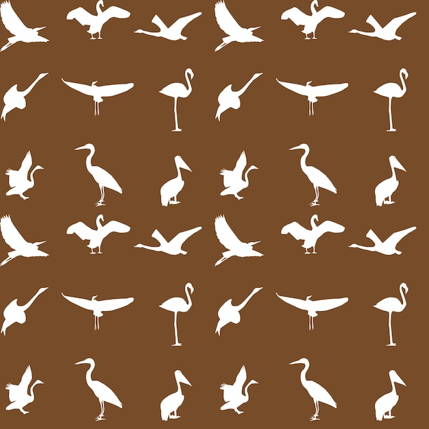 Conjunto de diferentes fotografías de aves de patrones sin fisuras. vector i