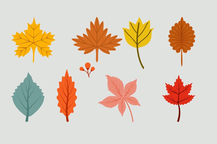 Un conjunto de diferentes hojas de otoño.