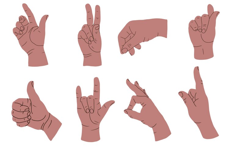 Vector conjunto de diferentes ilustraciones vectoriales de poses de la mano