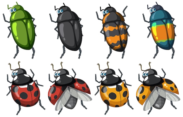 Conjunto de diferentes insectos y escarabajos en estilo de dibujos animados