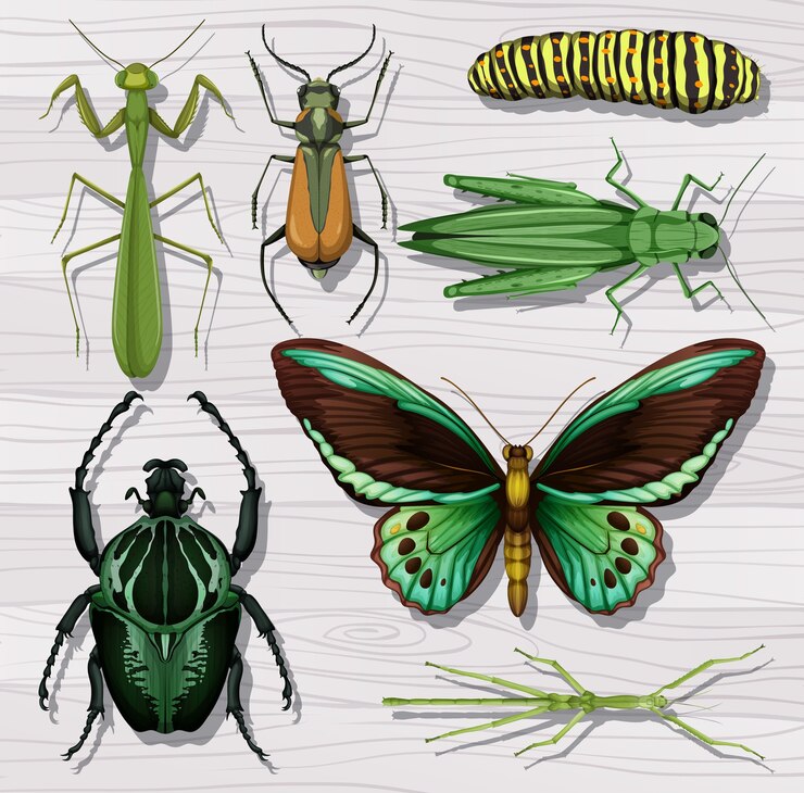 Vector conjunto de diferentes insectos sobre fondo de papel tapiz de madera blanca