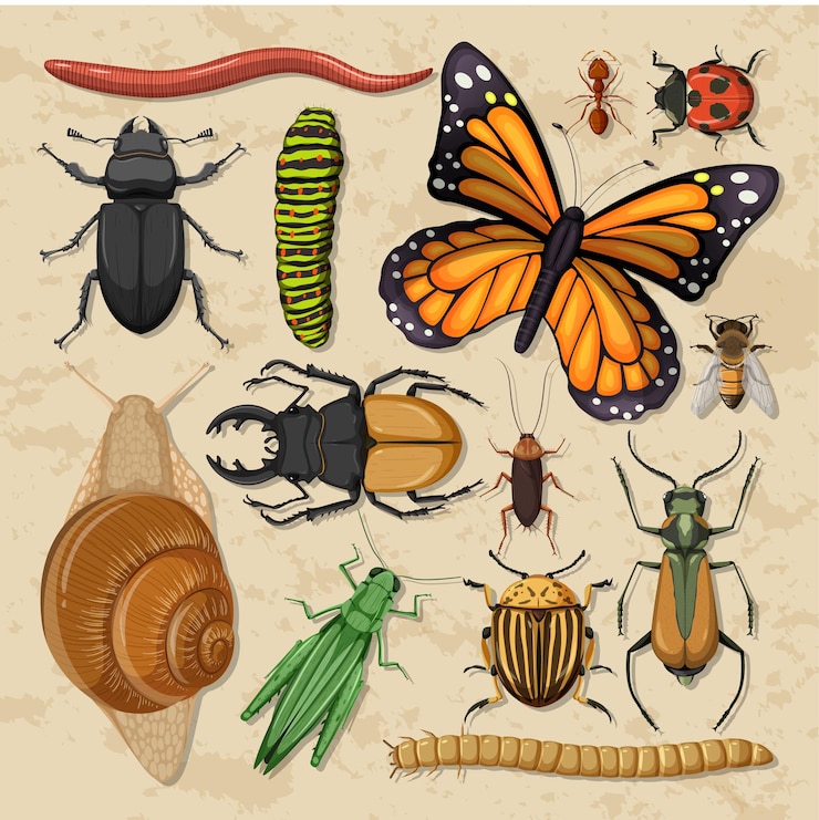 Vector conjunto de diferentes insectos sobre fondo de papel tapiz de madera