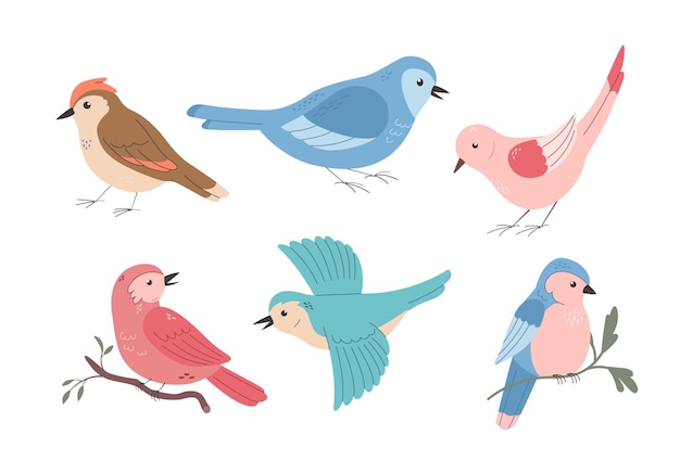Conjunto de diferentes pájaros de primavera lindos en fondo blanco Ilustración vectorial de dibujos animados