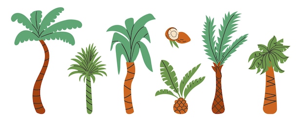 Conjunto de diferentes palmeras al estilo de dibujos animados Ilustración vectorial de hermosas palmeras verdes aisladas sobre un fondo blanco Cocos tropicales Ilustración de estilo plano dibujada a mano