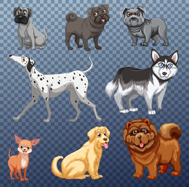 Vector conjunto de diferentes perros aislados