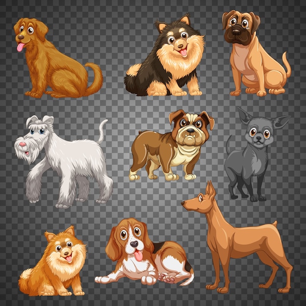 Vector conjunto de diferentes perros aislados