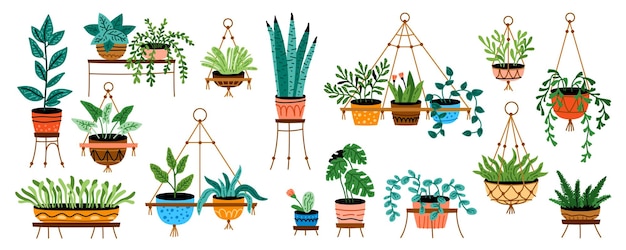 Conjunto de diferentes plantas de interior en coloridas ollas de cerámica hechas a mano