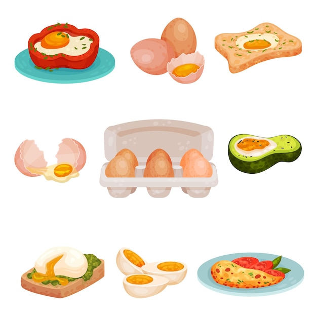 Conjunto de diferentes platos de huevo huevos crudos hervidos y fritos ilustración vectorial sobre fondo blanco