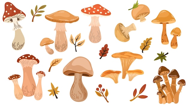 Conjunto de diferentes setas con bayas y hojas de árboles Ilustración plana vectorial dibujada a mano