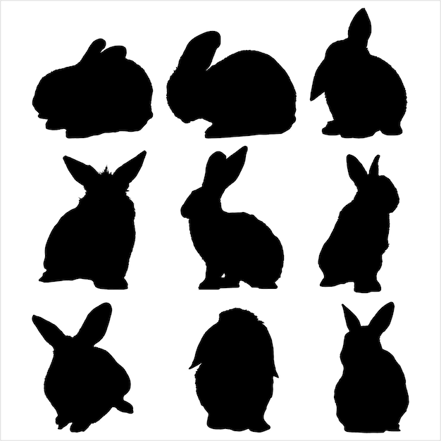Conjunto de diferentes siluetas de conejo para uso de diseño Conjunto de conejo aislado sobre fondo blanco