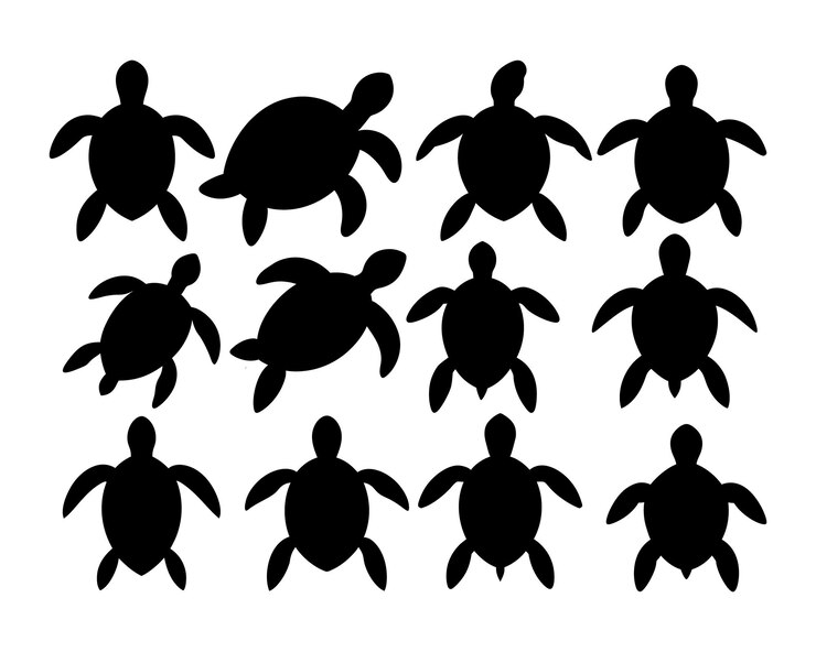Conjunto de diferentes siluetas de tortugas en fondo blanco Muestra de plantilla de tortugas marinas