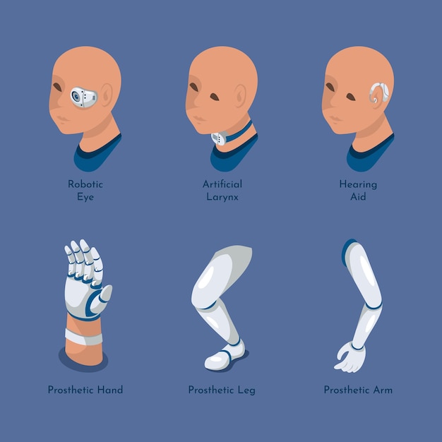 un conjunto de diferentes tipos de anatomía humana y humana