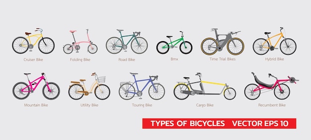 Conjunto de diferentes tipos de bicicletas infografía plana ilustración vectorial colorido