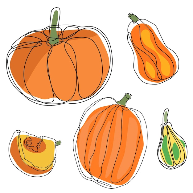 Conjunto de diferentes tipos de calabazas.