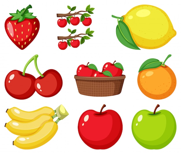 Vector conjunto de diferentes tipos de frutas.