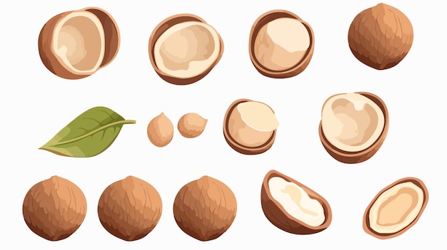 un conjunto de diferentes tipos de nueces