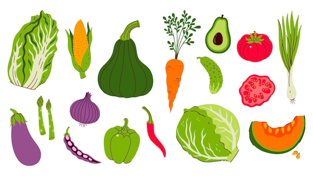 Conjunto de diferentes verduras aisladas en fondo blanco Gráficos vectoriales