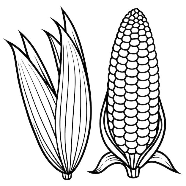 Conjunto de diseño aislado de silueta vectorial de icono de maíz sobre un fondo blanco