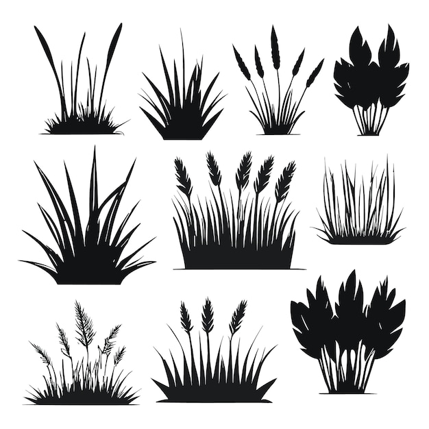Conjunto de diseño de arte vectorial de hierba