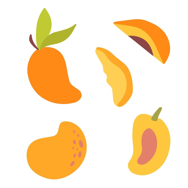 Conjunto de diseño de concepto de fruta y rebanada de mango orgánico fresco vectorial