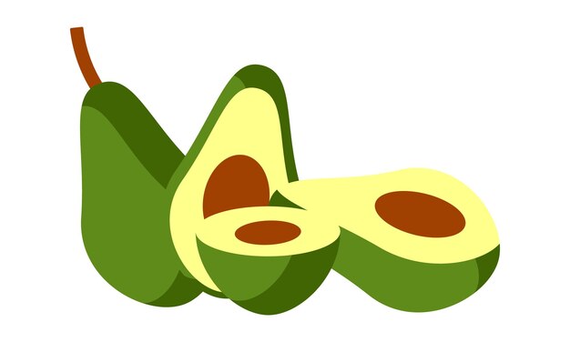 Conjunto de diseño e ilustración vectorial de aguacate