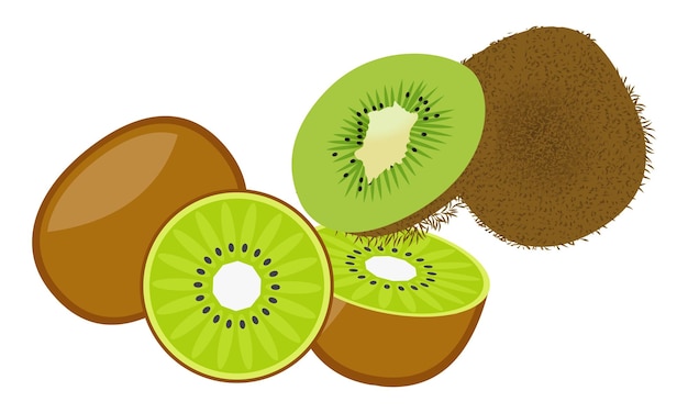 Conjunto de diseño e ilustración vectorial de Kiwi