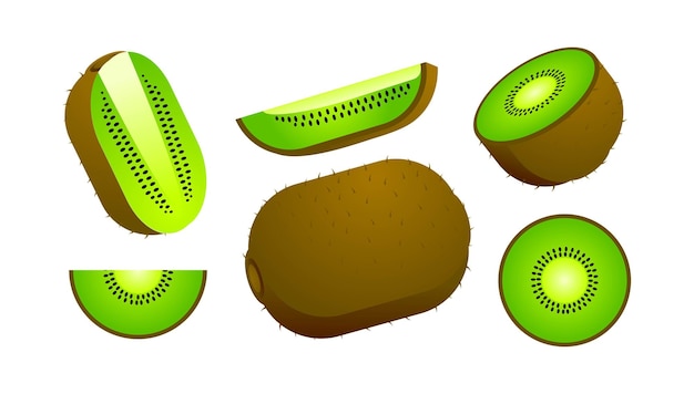 Conjunto de diseño de elementos de kiwi