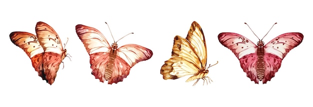 Conjunto de diseño de elementos de vector de acuarela de mariposa