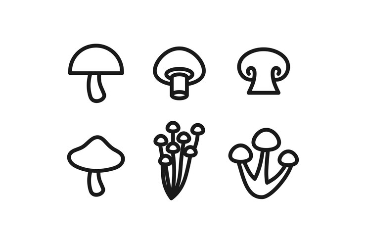 Vector conjunto de diseño de líneas de iconos de diversos hongos