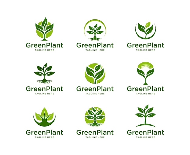 Conjunto de diseño de logotipo de hoja verde logotipo de planta verde vectorial planta en crecimiento de plántulas de hoja verde