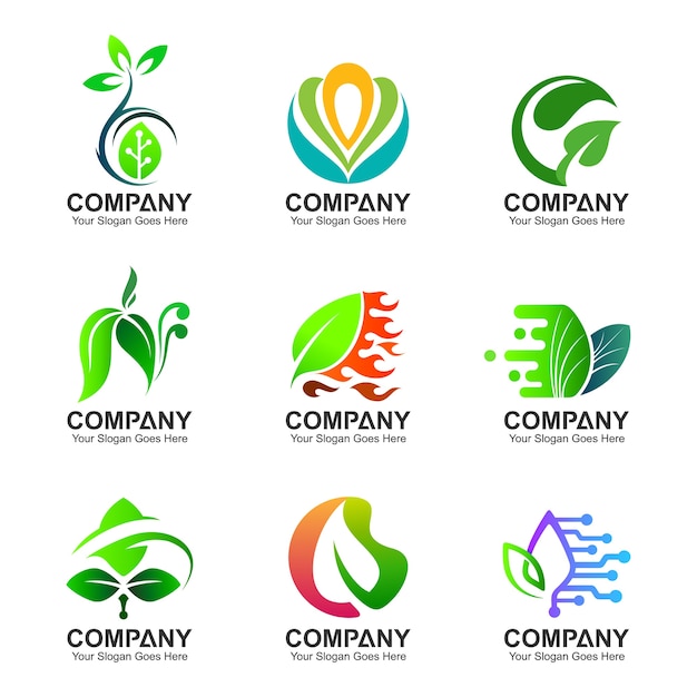 Conjunto de diseño de logotipo de hoja.