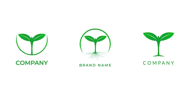 Conjunto de diseño orgánico de logotipo natural.