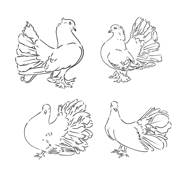 Vector conjunto de diseño de palomas grabado dibujado a mano aislado sobre fondo claro vector de palomas decorativas