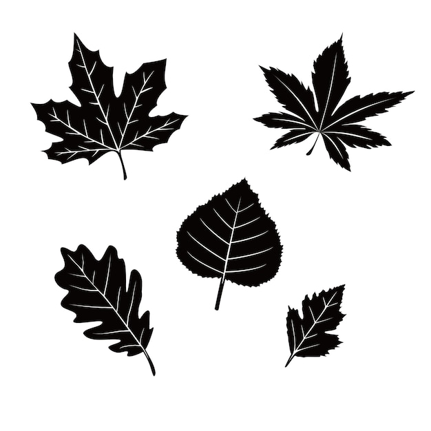 conjunto de diseño de silueta de hojas de otoño signo y símbolo de icono de la naturaleza