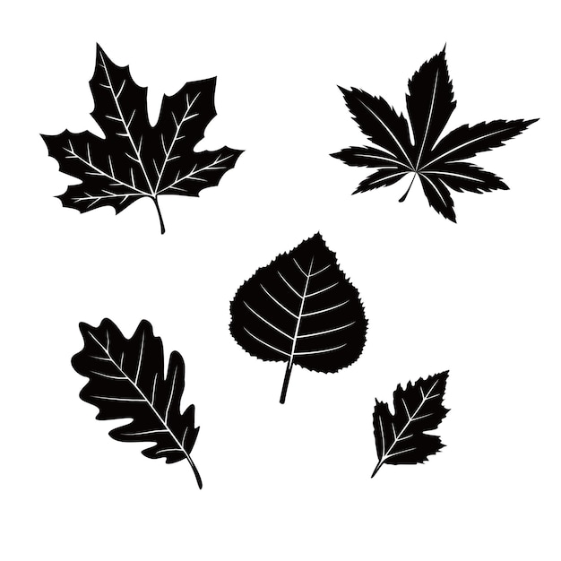 Vector conjunto de diseño de silueta de hojas de otoño signo y símbolo de icono de la naturaleza