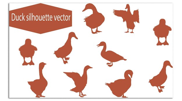 Conjunto de diseño de vectores abstractos