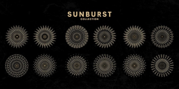 conjunto de diseño vectorial de elementos de recolección de sunburst