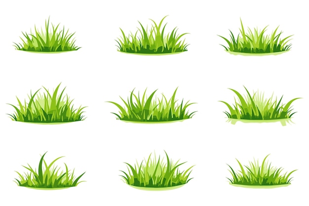 Conjunto de diseño vectorial de hierba exuberante