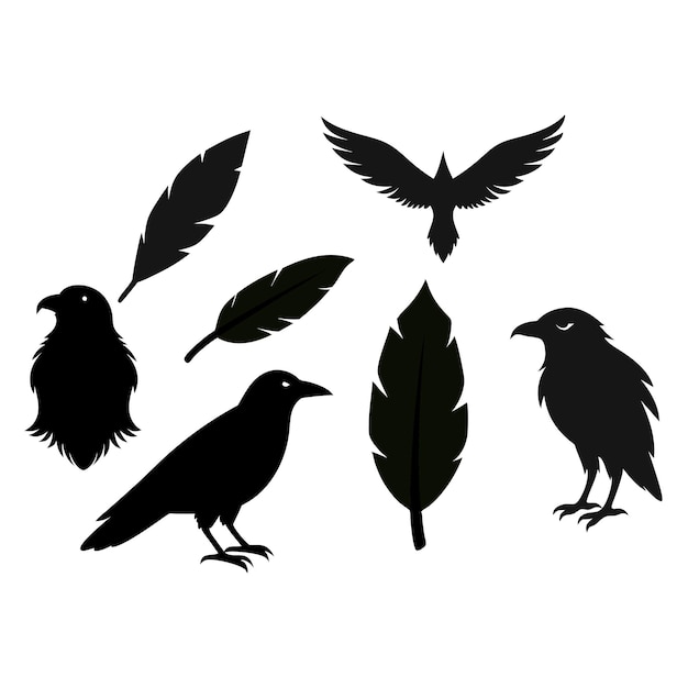 Conjunto de diseños de aves y plumas de cuervo y cuervo