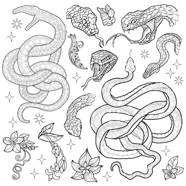 Conjunto de diseños dibujados a mano con el símbolo de la serpiente del año de acuerdo con el horóscopo oriental