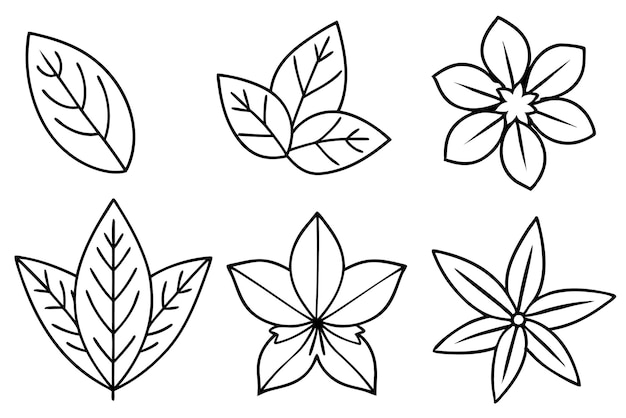 un conjunto de diseños diferentes con hojas y flores