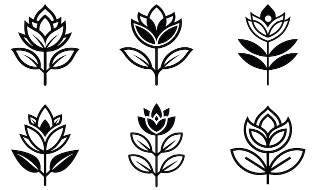 Conjunto de diseños florales estilizados en blanco y negro