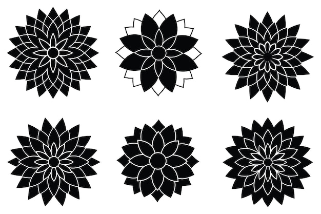 Conjunto de diseños de flores de Dahlia