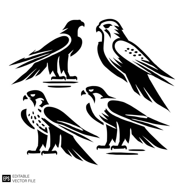 conjunto de diseños gráficos de halcón, clip art vectorial, plantillas de silueta en blanco y negro