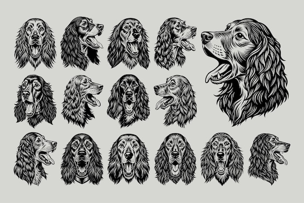 Conjunto de diseños de ilustraciones de cabezas de perros de cocker spaniel inglés